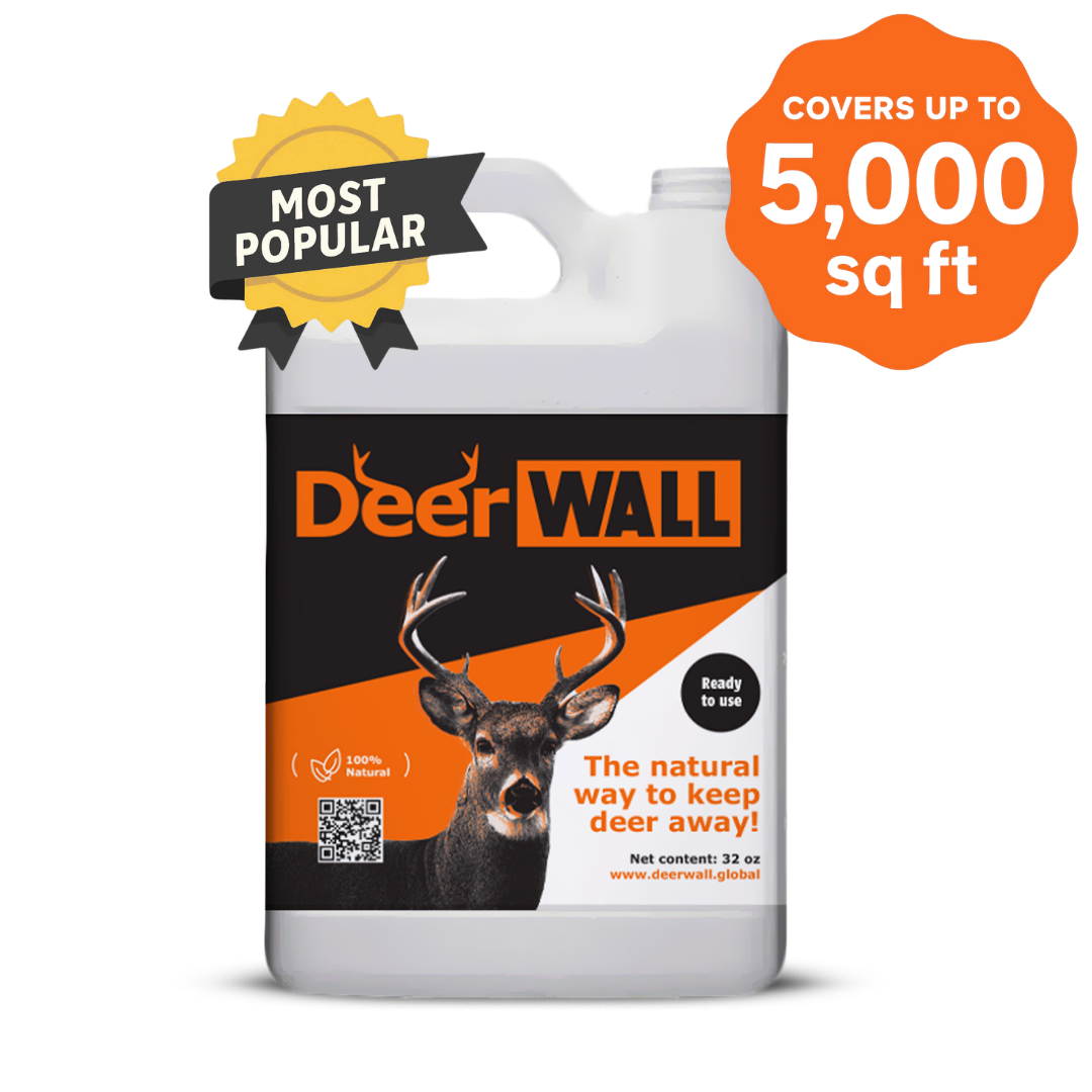 Deer Wall Garden Shield Spray – 1 Gallon (Ready to use) All-Natural Deer Repellent