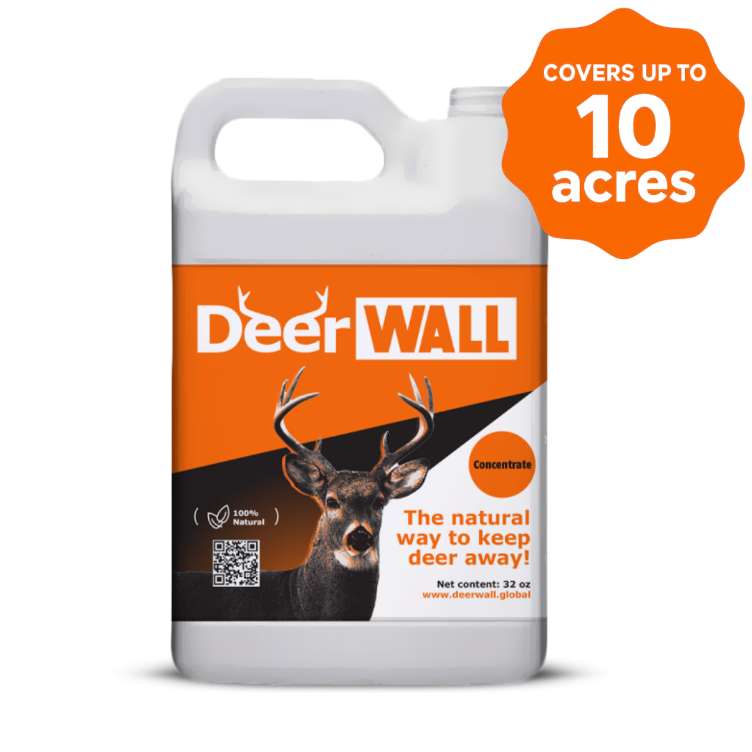 Deer Wall Garden Shield Spray – 2.5 Gallons (Concentrate) All-Natural Deer Repellent